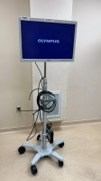OLYMPUS OEV261H ENDOSCOPY MONITOR
