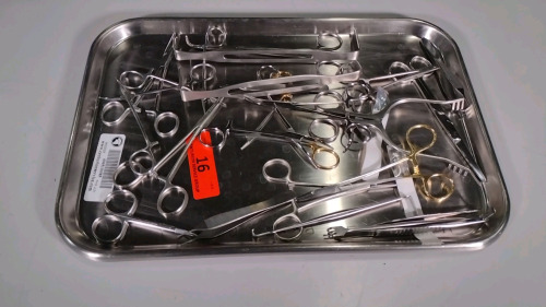 INSTRUMENT TRAY (Apart of the Astria Regional Medical Center Yakima, WA / Located at Phoenix Warehouse)