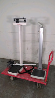 SCALES AND SPHYGMO (NO CART)