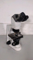 NIKON ECLIPSE 55I LAB MICROSCOPE WITH 2 EYEPIECES (CFI 10X/22) AND 4 OBJECTIVES (10, 40, 50, 100)