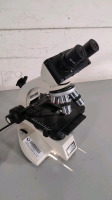 BRISTOLINE BRISTOLSCOPE LAB MICROSCOPE WITH SINGLE BINOCULAR (WF10X), 4 OBJECTIVES (4, 10, SP40, 100)