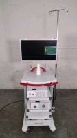 RICHARD WOLF ENDOSCOPY SYSTEM TO INCLUDE: ENDOCAM PERFORMANCE HD CAMERA UNIT, ENDO LIGHT LIGHT SOURCE, MONITOR, MOBILE WORKSTATION