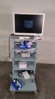 SONY DXC-C33 CAMERA CONTROL UNIT WITH STRYKER WISE 26 INCH HDTV SURGICAL DISPLAY ON MOBILE WORKSTATION