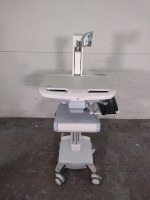 ERGOTRON LIFE MOBILE WORKSTATION