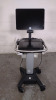 SONOSITE X-PORTE ULTRASOUND SYSTEM AND STAND (SN 04KRMN)