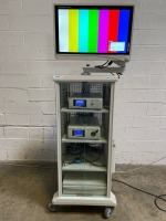 STRYKER ENDOSCOPY CART W/VISION PRO DISPLAY, 1488 HD CAMERA UNIT, L9000 LIGHT SOURCE