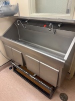 STERIS AMSCO FLEXMATIC DUAL BAY SCRUB STATION
