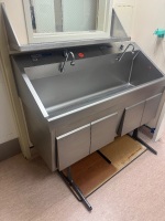 STERIS AMSCO FLEXMATIC DUAL BAY SCRUB STATION