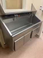 STERIS AMSCO FLEXMATIC DUAL BAY SCRUB STATION
