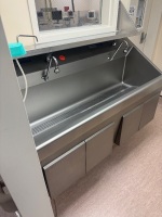 STERIS AMSCO FLEXMATIC DUAL BAY SCRUB STATION