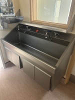 STERIS AMSCO FLEXMATIC DUAL BAY SCRUB STATION
