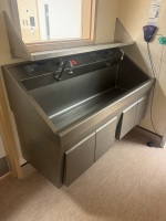 STERIS AMSCO FLEXMATIC DUAL BAY SCRUB STATION