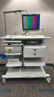 OLYMPUS EXERA II CV-180 ENDOSCOPY TOWER TO INCLUDE: EXERA II CV-180 CAMERA, EXERA II CLV-180 LIGHT SOURCE, OEP-4 HDTV PRINTER WITH OEV191H MONITOR ON WM-DP1 MOBILE WORKSTATION LOCATED AT: LOCATED AT: 1 MEDICAL CENTER BLVD, CHESTER, PA 19013