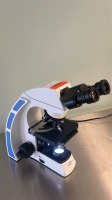 BASIC ORTHO INSTRUMENTATION TRAY