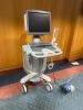 SIEMENS ACUSON S2000 ULTRASOUND W/EC94 AND 4C1 TRANSDUCERS, SN: 201868, DOM: 12/2009 LOCATED AT: LOCATED AT: 1 MEDICAL CENTER BLVD, CHESTER, PA 19013 - 4
