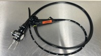 OLYMPUS GIF-H180J GASTROSCOPE, VIDEO LOCATED AT: LOCATED AT: 1 MEDICAL CENTER BLVD, CHESTER, PA 19013