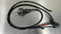 OLYMPUS GIF-H180J GASTROSCOPE, VIDEO LOCATED AT: LOCATED AT: 1 MEDICAL CENTER BLVD, CHESTER, PA 19013