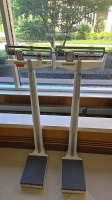 HEALTH O METER PRO SERIES PHYSICIAN SCALE, QTY. (2) LOCATED AT: LOCATED AT: 1 MEDICAL CENTER BLVD, CHESTER, PA 19013 1/ LOBBY
