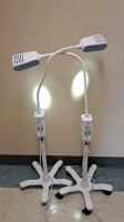 WELCH ALLYN GS 300 EXAM LIGHT, GOOSENECK (QTY.2) LOCATED AT: LOCATED AT: 1 MEDICAL CENTER BLVD, CHESTER, PA 19013