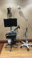 NATUS "019933" EEG W/ PHOTIC STIMULATOR, PULSE OXIMETER AND CAMERA ON CART LOCATED AT: LOCATED AT: 1 MEDICAL CENTER BLVD, CHESTER, PA 19013