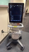 MINDRAY TE7 3B, ULTRASOUND SYSTEM W/ L20-5S, L12-4S, C5-2S, P4-2S TRANSDUCERS ON MOBILE TROLLEY, (DOM 08/03/2017, SN SP-78001-409) LOCATED AT: LOCATED AT: 1 MEDICAL CENTER BLVD, CHESTER, PA 19013 G/ED/TREATMENT 5