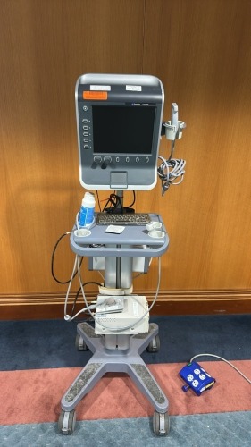 SONOSITE S-FAST, P09417 ULTRASOUND W/ 13-6 AND P12X/5-1/TRANSDUCER ON CART, SN: 03J1BM, DOM: 06/2010 LOCATED AT: LOCATED AT: 1 MEDICAL CENTER BLVD, CHESTER, PA 19013