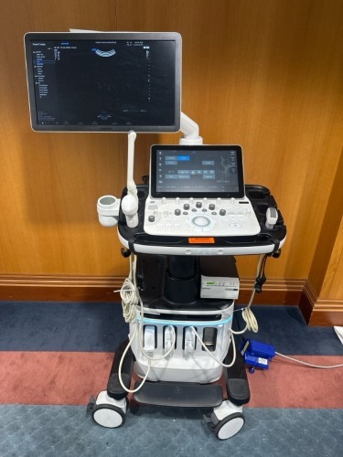 SAMSUNG HERAW10, S1HRM3HM700009 ULTRASOUND SYSTEM WITH, CV1-8A, CA1-7A AND EA2-11B, SN: S1HRM3HM70009V, DOM: 7/2019 LOCATED AT: LOCATED AT: 1 MEDICAL CENTER BLVD, CHESTER, PA 19013