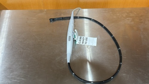 SIEMENS 10436113 TEE PROBE (DOM: 10/2020) LOCATED AT: LOCATED AT: 1 MEDICAL CENTER BLVD, CHESTER, PA 19013