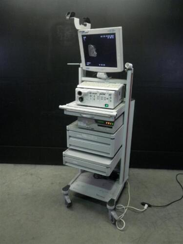 PENTAX EPK-1000 ENDOSCOPY SYSTEM TO INCLUDE: EPK-1000 VIDEO PROCESSOR, SONY UP-51MDU COLOR VIDEO PRINTER, 19 INCH HD MONITOR, CART