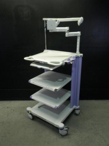 OLYMPUS WM-WP1 ENDOSCOPY CART