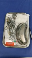 SPD MINOR TRAY (LOCATED AT: 1 MEDICAL CENTER BLVD, CHESTER, PA 19013) 4TH OR
