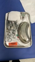 SPD MINOR TRAY (LOCATED AT: 1 MEDICAL CENTER BLVD, CHESTER, PA 19013) 4TH OR