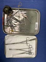 PELVIC EXAM TRAY (LOCATED AT: 1 MEDICAL CENTER BLVD, CHESTER, PA 19013) 4TH OR