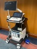 SAMSUNG HERAW10, S1HRM3HM700009 ULTRASOUND SYSTEM WITH, CV1-8A, CA1-7A AND EA2-11B, SN: S1HRM3HM70009V, DOM: 7/2019 LOCATED AT: LOCATED AT: 1 MEDICAL CENTER BLVD, CHESTER, PA 19013 - 8