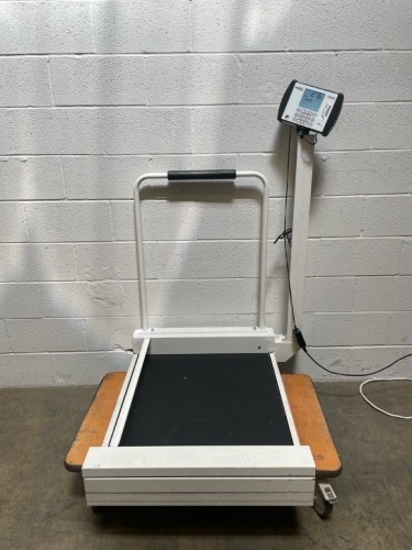 DETECTO MEDVUE PATIENT SCALE (ON DOLLY)