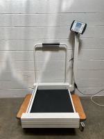 DETECTO MEDVUE PATIENT SCALE (ON DOLLY)