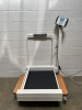 DETECTO MEDVUE PATIENT SCALE (ON DOLLY)