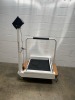 DETECTO MEDVUE PATIENT SCALE (ON DOLLY) - 3
