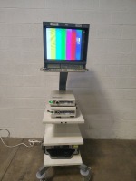 OLYMPUS TI-1900 IMAGE CART TO INCLUDE OTV-S6 CAMERA CONTROLLER(SN#7024027), CLV-S30 LIGHT SOURCE(SN#7900528), KODAK ESP 7250 PRINTER, OEV203 MONITOR