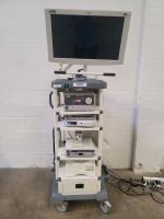STORZ ENDOSCOPY SYSTEM TOWER TO INCLUDE IMAGE1 S TC200(SN#YR796663-P), SCB IMAGE 1 HUB 222010 20(SN#XY689067-P), SCE XENON 300 201331 20(SN#YS0716447), STRYKER SYNK WIRELESS TRANSMITTER(SN#16A035984), LEXION INSUFLOW(SN#HW12176-A), SONY PRINTER, NDS SC-W