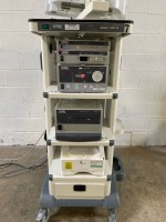 STORZ GOKART/9601G ENDOSCOPY SYSTEM TOWER TO INCLUDE IMAGE 1 TC200(SN#WT755444-P), SCB IMAGE 1 HUB 222010 20(SN#LF615426-P), AIDA HD CONNECT 202055 20(SN#VR615331-T), SCE XENON 300 201331 20(SN#PX0679354), SONY PRINTER, PANASONIC LCD MONITOR