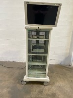 STRYKER ENDOSCOPY SYSTEM TOWER TO INCLUDE STORZ SCB IMAGE 1 HUB 222010 20(SN#MF616176-P), STORZ AIDA HD CONNECT 202055 20(SN#OS613216-T), STORZ SCE THERMOFLATOR 264320 20(SN#XY13346-B), STORZ SCE XENON 300 201331 20(SN#NX0677797), NDS SC-WU26-A1511 MONIT