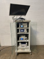 STRYKER ENDOSCOPY TOWER TO INCLUDE: SYNK WIRELESS TRANSMITTER, 1488 HD HIGH DEFINITION CAMERA, L9000 LED LIGHT SOURCE, SDC3 HD INFO MANAGEMENT SYSTEM, SDP1000 DIGITAL PRINTER, VISION PRO 26" LED DISPLAY