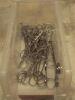 LOT OF ALLIS FORCEPS