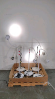 RITTER/MIDMARK (5) EXAM LIGHTS