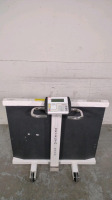 DETECTO 6550 WHEELCHAIR SCALE