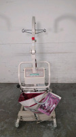 EZ WAY INC. 598 EZ LIFT WITH SCALE AND HAND CONTROL