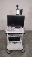NATUS NEUROLOGY NICOLET EEG EEG SYSTEM