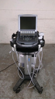 SONOSITE M-TURBO ULTRASOUND SYSTEM AND STAND WITH 3 PROBES (HLF38, C60X, P21)(SN WK1YR5)
