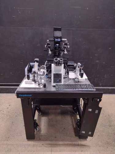OLYMPUS IX73 LAB MICROSCOPE WITH 5 OBJECTIVES AND EYE PIECES 10X/22, WITH NARUSHIGE, NARISHIGE EQUIPMENT, DELL D15U PC, RI SATURN 5 ACTIVE LASER SYSTEM ON A CLEAN BENCH TABLE